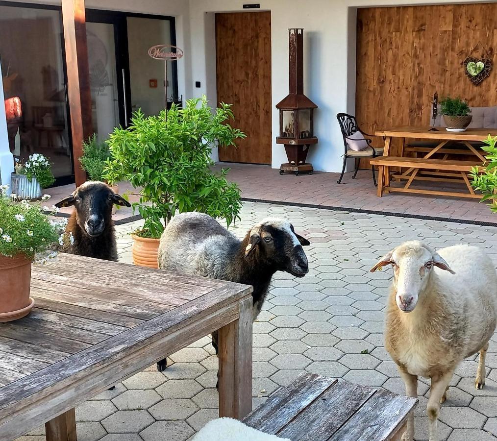 Roiderhof Irrsee Oberhofen am Irrsee エクステリア 写真
