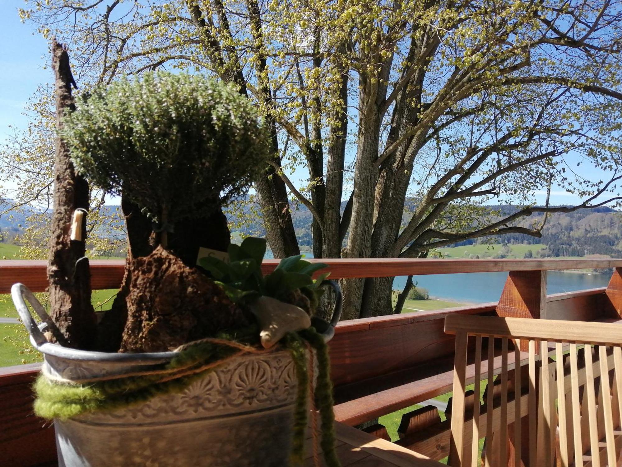 Roiderhof Irrsee Oberhofen am Irrsee エクステリア 写真