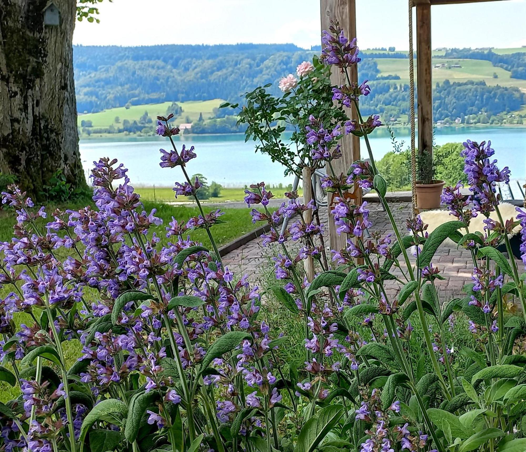 Roiderhof Irrsee Oberhofen am Irrsee エクステリア 写真